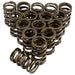 Lunati 73084-16 Single Valve Spring w/ Damper; 1.450" O.D.; 1.750" Installed Height; 16 Springs - Truck Part Superstore