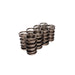 Lunati 73100-8 Engine Valve Spring Kit - Truck Part Superstore