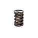 Lunati 73110-1 Engine Valve Spring - Truck Part Superstore