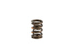 Lunati 73117-16 Dual Valve Spring w/o Damper 1.550" O.D.; 1.800" Installed Height; 16 Springs - Truck Part Superstore