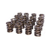 Lunati 73119-16 Dual Valve Spring w/o Damper 1.540" O.D.; 1.950" Installed Height; 16 Springs - Truck Part Superstore