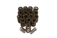 Lunati 73124-16 Dual Valve Spring w/ Damper 1.510" O.D.; 1.880" Installed Height; 16 Springs - Truck Part Superstore