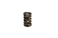 Lunati 73124-16 Dual Valve Spring w/ Damper 1.510" O.D.; 1.880" Installed Height; 16 Springs - Truck Part Superstore