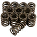 Lunati 73126-12 Engine Valve Spring Kit - Truck Part Superstore
