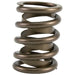 Lunati 73126-1 Single Valve Spring w/ Damper; 1.500" O.D.; 1.800" Installed Height; One Spring - Truck Part Superstore