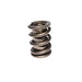 Lunati 73191-1 Dual Valve Spring w/ Damper 1.639" O.D.; 1.950" Installed Height; One Spring - Truck Part Superstore