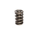 Lunati 73367-1 Dual Valve Spring w/ Damper 1.550" O.D.; 1.950" Installed Height; One Spring - Truck Part Superstore