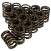 Lunati 73815-16 Single Valve Spring w/ Damper; 1.500" O.D.; 1.820" Installed Height; 16 Springs - Truck Part Superstore