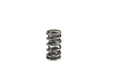 Lunati 73925-16 Signature Series Dual Spring 1.306" O.D.; 1.810" Installed Height; 1 Spring - Truck Part Superstore