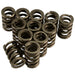 Lunati 73943-12 Engine Valve Spring Kit - Truck Part Superstore