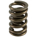 Lunati 73943-1 Single Valve Spring w/ Damper; 1.260" O.D.; 1.750" Installed Height; One Spring - Truck Part Superstore