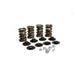 Lunati 74708K1 10? Retainer set for Dual Valve Spring - Truck Part Superstore
