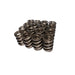 Lunati 74726-16 Signature Series Dual Springs 1.550" O.D.; 2.000" Installed Height; 16 Springs - Truck Part Superstore