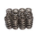 Lunati 74818-12 Engine Valve Spring Kit - Truck Part Superstore