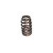 Lunati 75883-1 Signature Beehive Valve Spring 1.250" O.D.; 1.750" Installed Height; 1 Spring - Truck Part Superstore