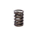 COMP Cams 901-1 Engine Valve Spring - Truck Part Superstore