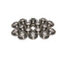 Lunati 76185-16 10? Titanium Retainer Set for #74855 Valve Spring - Truck Part Superstore