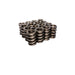 COMP Cams 927-16 Engine Valve Spring Kit - Truck Part Superstore