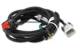 MSD 80002 Ignition Replacement Harness; For MSD Pro 600 EFI And LS; - Truck Part Superstore