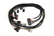 MSD 88863 IgnWireHarness - Truck Part Superstore