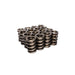 COMP Cams 928-16 Engine Valve Spring Kit - Truck Part Superstore