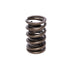 COMP Cams 924-1 Engine Valve Spring - Truck Part Superstore