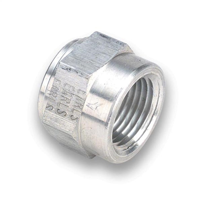 Earl's Performance 996706ERL Aluminum NPT Weld Fitting; Size: 3/4 in. NPT Female; Bare; Bagged Packaging; - Truck Part Superstore