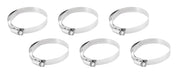 AEM Induction 23-206 Hose Clamp Kit - Truck Part Superstore