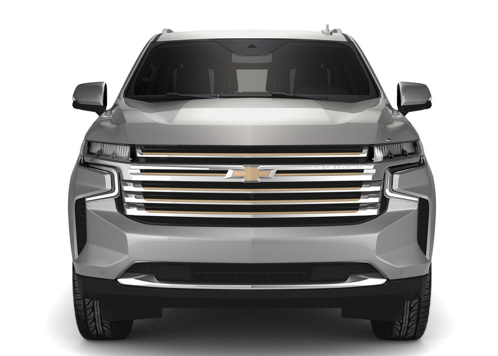 Auto Ventshade (AVS) 622177 Aeroskin Chrome Hood Protector; Low Profile; - Truck Part Superstore