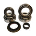 Nitro Gear & Axle BKAAM11.5 AAM 11.5 Inch Rear Bearing Kit GM/Dodge Nitro Gear and Axle - Truck Part Superstore