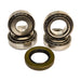 Nitro Gear & Axle BKC8.42-B Chrysler 8.75 Inch Bearing Kit Chrysler 4-Pinion 42 25590/20 Nitro Gear and Axle - Truck Part Superstore