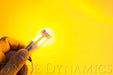 Diode Dynamics DD0015P 1157 LED Bulb XP80 LED Amber Pair Diode Dynamics - Truck Part Superstore