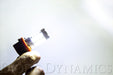 Diode Dynamics DD0165P H11 XP80 LED Cool White Pair Diode Dynamics - Truck Part Superstore
