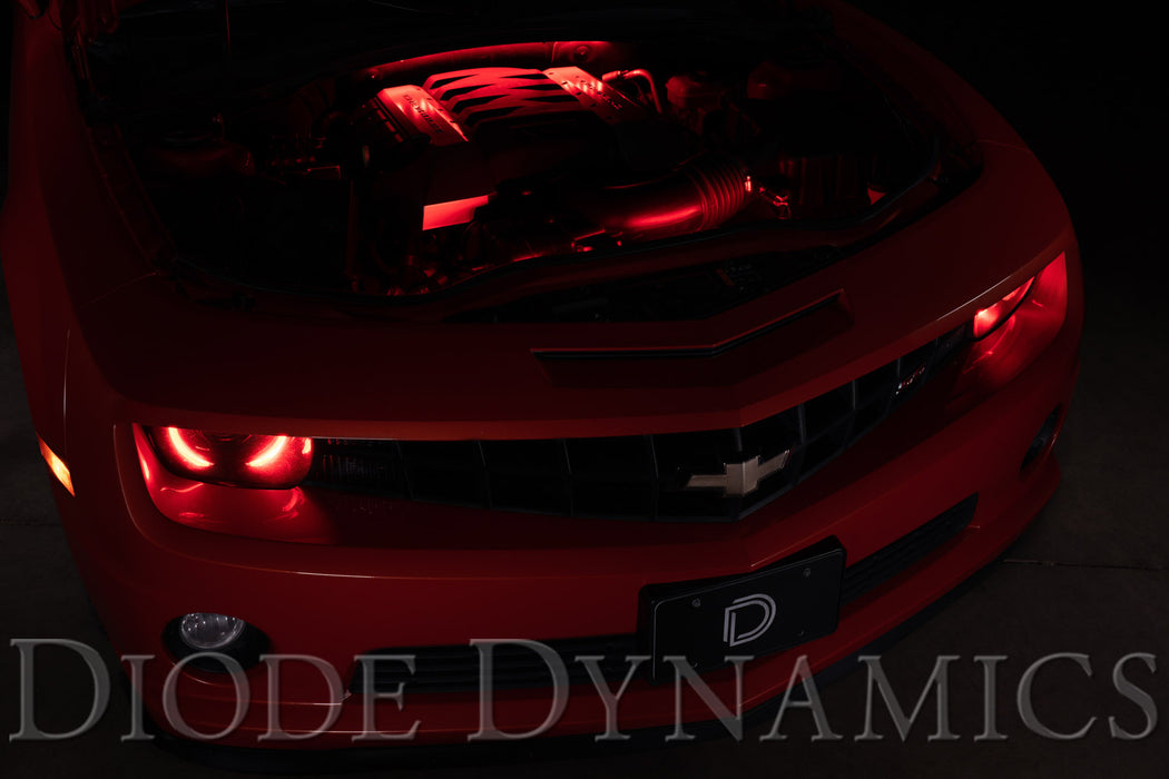 Diode Dynamics DD0440 RGBW Engine Bay Strip Kit 2pc Multicolor Diode Dynamics - Truck Part Superstore