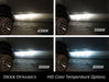 Diode Dynamics DD1029P HID Bulb D1S 4300K Pair Diode Dynamics - Truck Part Superstore