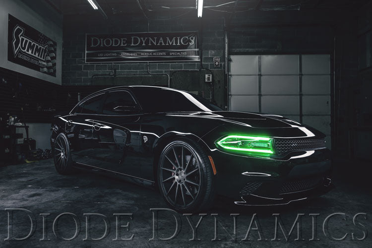 Diode Dynamics DD2003 2015-2018 Dodge Charger RGBW DRL LED Boards Diode Dynamics - Truck Part Superstore