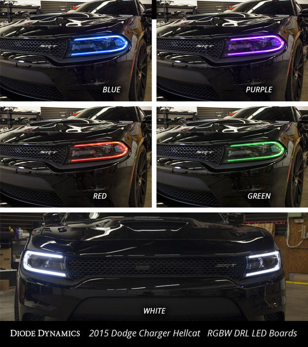 Diode Dynamics DD2003 2015-2018 Dodge Charger RGBW DRL LED Boards Diode Dynamics - Truck Part Superstore