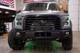 Diode Dynamics DD2004 2015-2016 Ford F-150 RGBW LED Boards Diode Dynamics - Truck Part Superstore