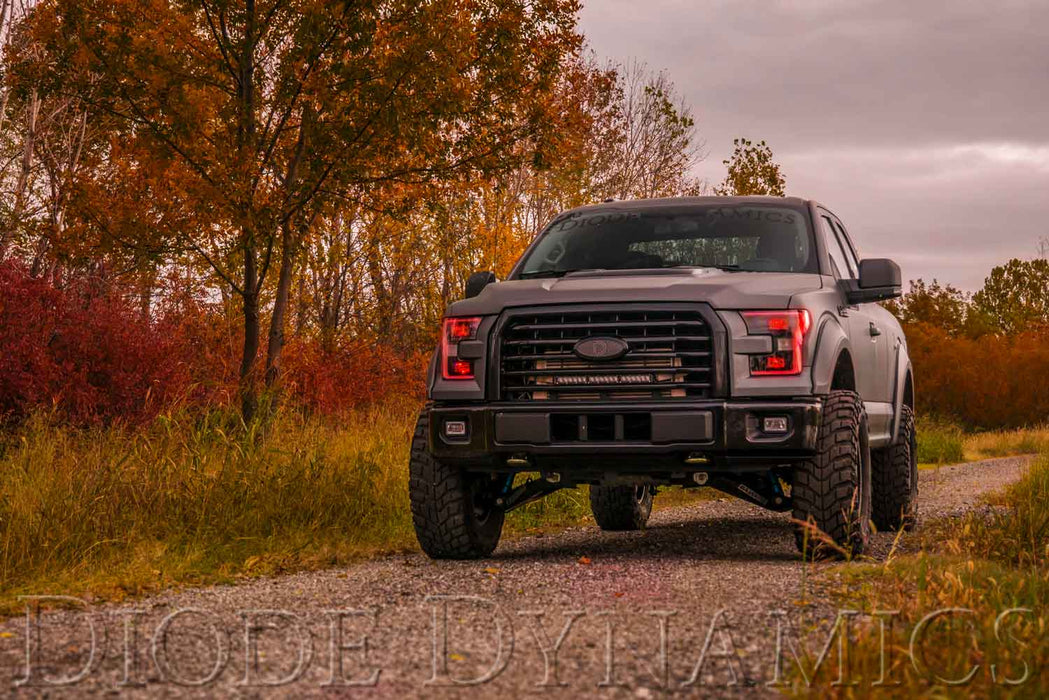 Diode Dynamics DD2004 2015-2016 Ford F-150 RGBW LED Boards Diode Dynamics - Truck Part Superstore
