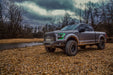 Diode Dynamics DD2004 2015-2016 Ford F-150 RGBW LED Boards Diode Dynamics - Truck Part Superstore