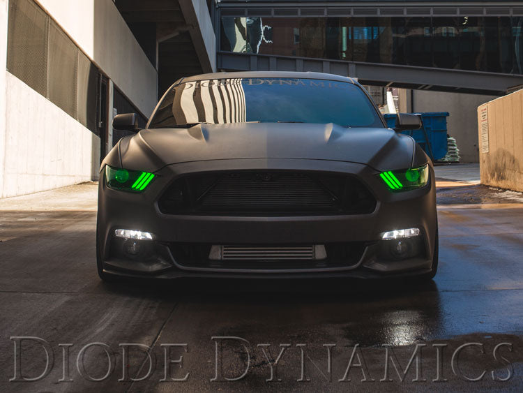Diode Dynamics DD2008 2015-2016 Ford Mustang RGBWA DRL LED Boards (USDM) Diode Dynamics - Truck Part Superstore