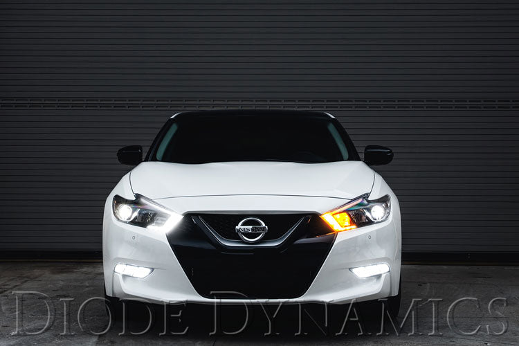 Diode Dynamics DD2013 2016 Nissan Maxima SB DRL LED Boards Diode Dynamics - Truck Part Superstore