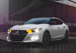 Diode Dynamics DD2013 2016 Nissan Maxima SB DRL LED Boards Diode Dynamics - Truck Part Superstore