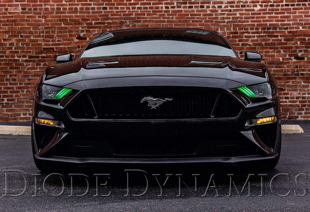 Diode Dynamics DD2243 RGBWA DRL LED Boards for 2018-2021 USDM Ford Mustang - Truck Part Superstore