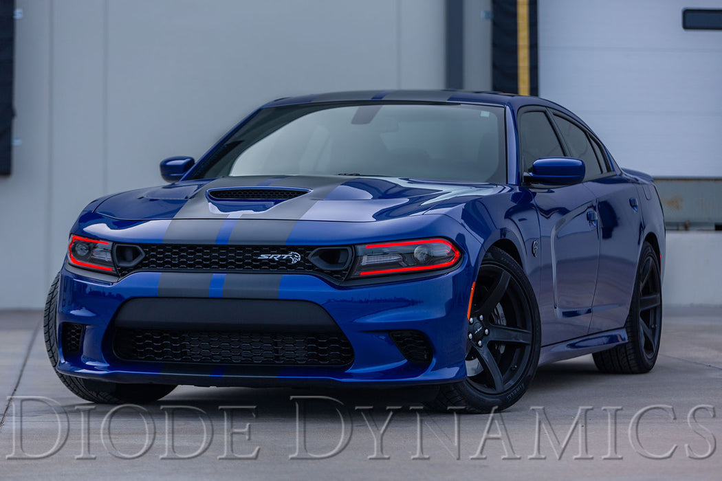 Diode Dynamics DD2282 RGBW DRL LED Boards for 2019-2021 Dodge Charger - Truck Part Superstore