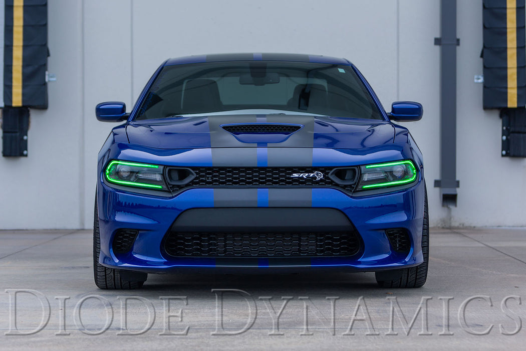 Diode Dynamics DD2282 RGBW DRL LED Boards for 2019-2021 Dodge Charger - Truck Part Superstore