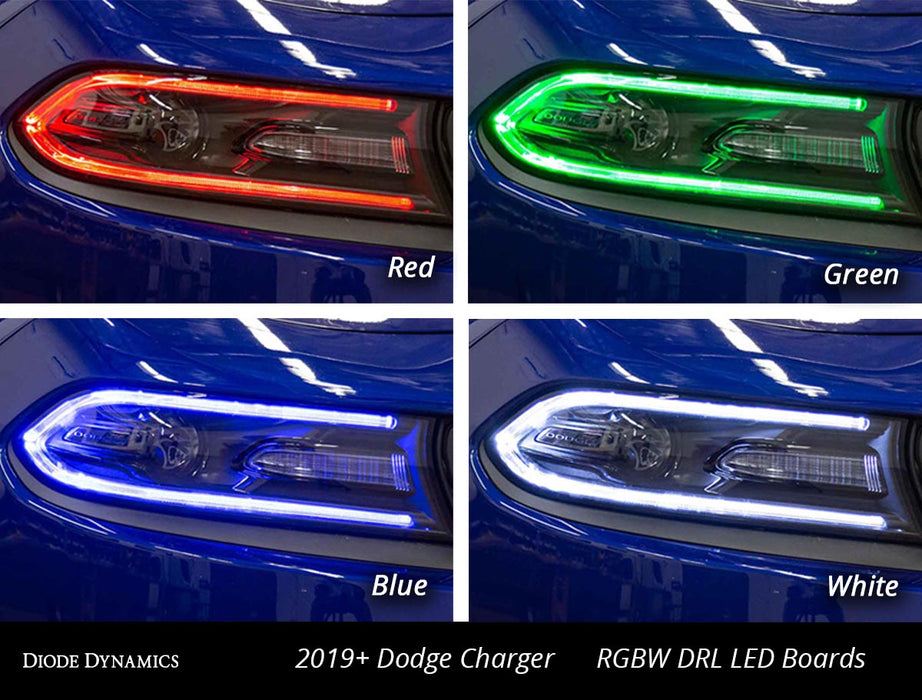 Diode Dynamics DD2282 RGBW DRL LED Boards for 2019-2021 Dodge Charger - Truck Part Superstore