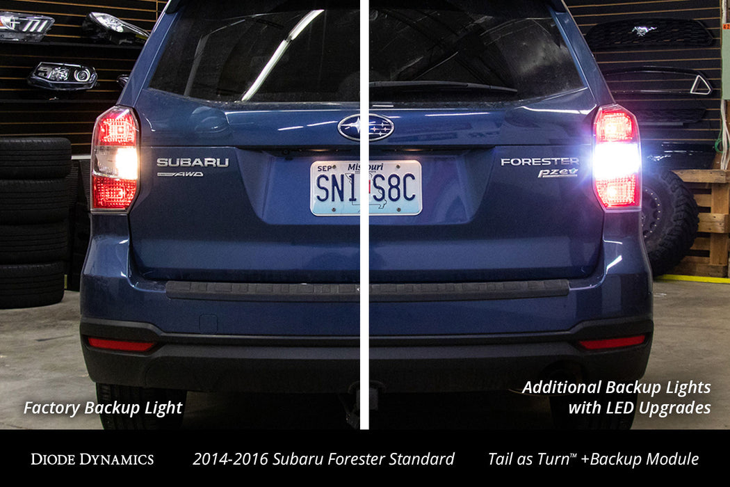 Diode Dynamics DD3049 2014-2016 Subaru Forester Standard Tail as Turn +Backup Module (USDM) Module Only Diode Dynamics - Truck Part Superstore