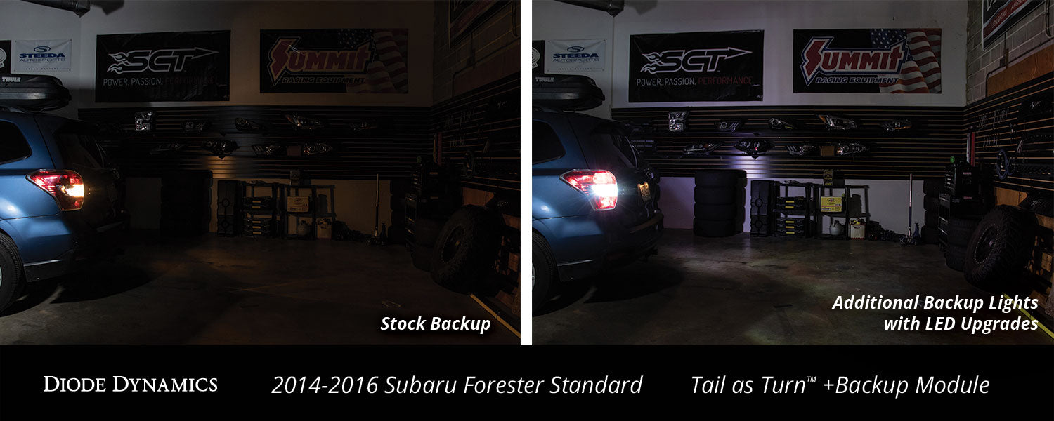 Diode Dynamics DD3049 2014-2016 Subaru Forester Standard Tail as Turn +Backup Module (USDM) Module Only Diode Dynamics - Truck Part Superstore
