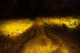 Diode Dynamics DD6142S SS3 LED Pod Sport Yellow SAE Fog Round Single Diode Dynamics - Truck Part Superstore